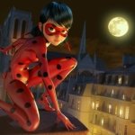 Ladybug