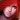 Katarina11