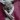 ISPAN74ru's Profile Image