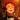 z1doug