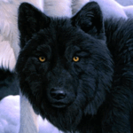 lonewolf6738 - Avatar