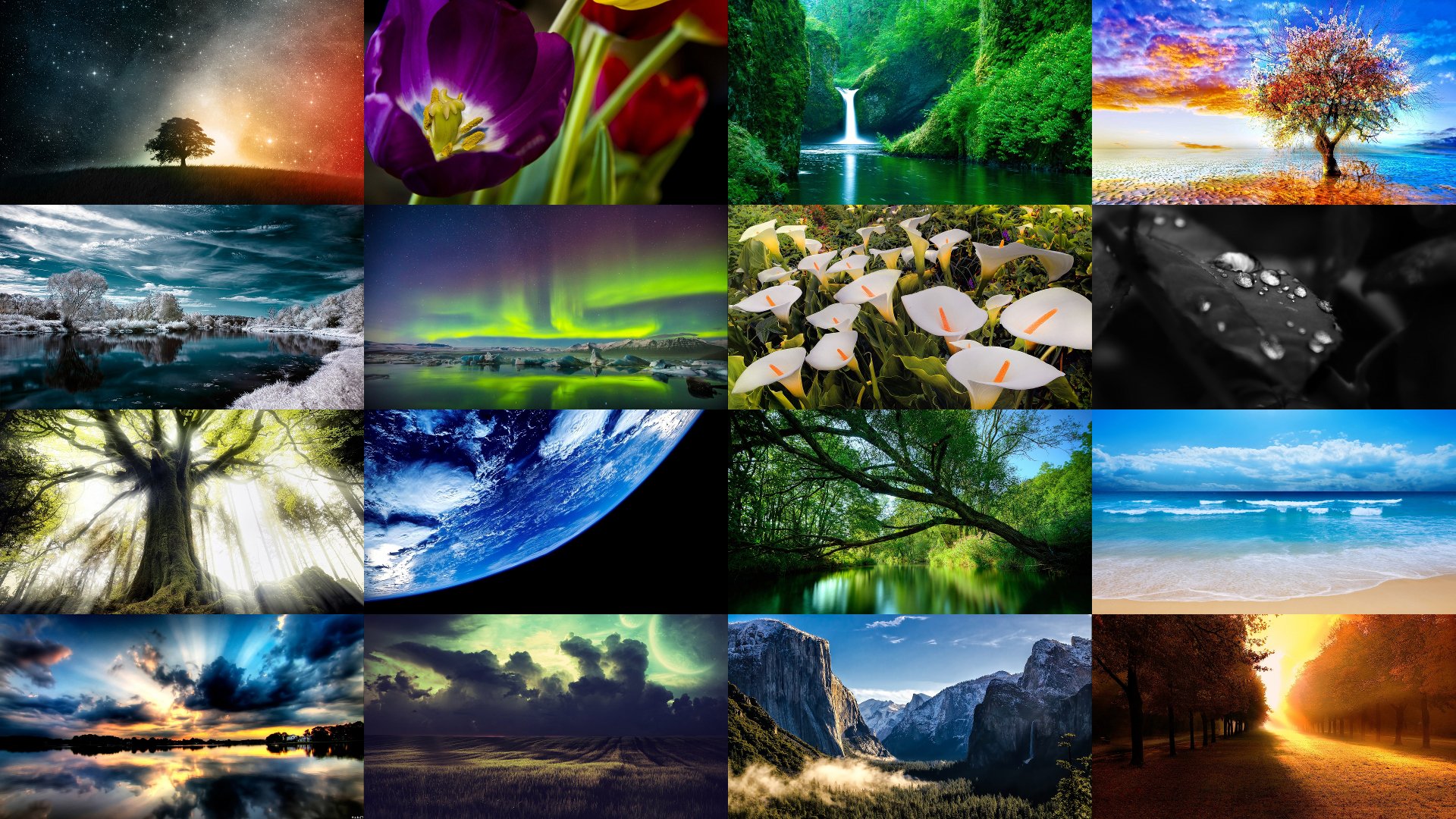 Earth Nature Hd Wallpapers Background Images Wallpaper Abyss